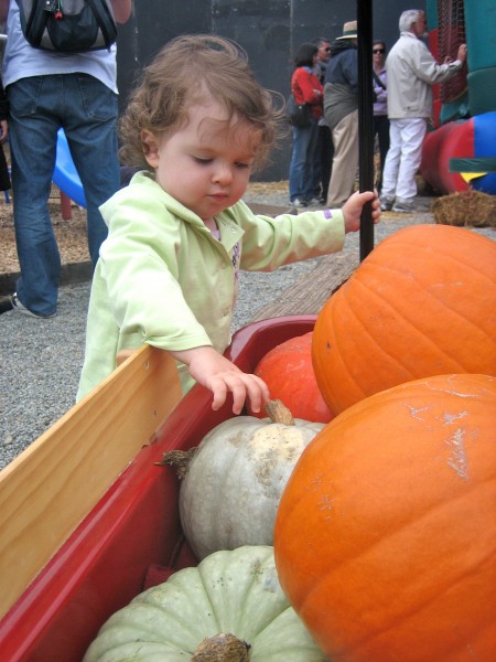 Izzy and the wagon full of pumpkins