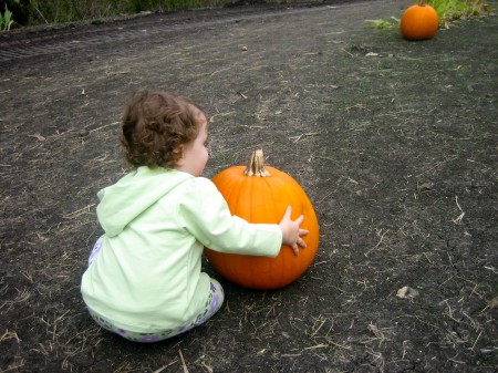 Izzy and the great pumpkin