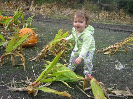 Izzy and the corn