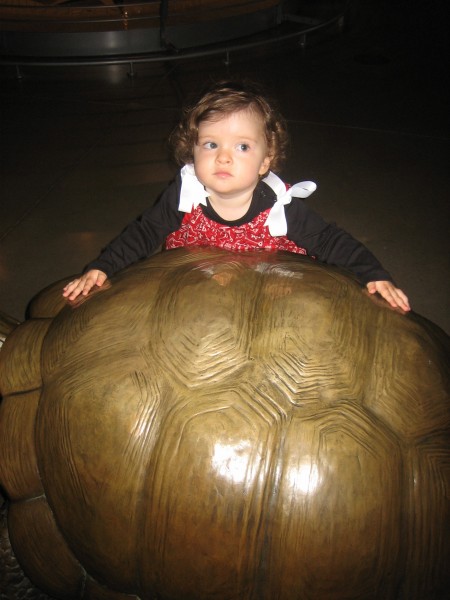 Izzy and the Turtle