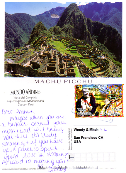 Machu Picchu