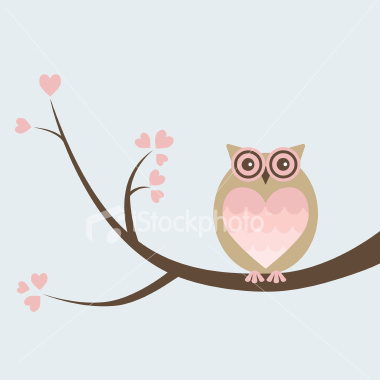 Owl Love